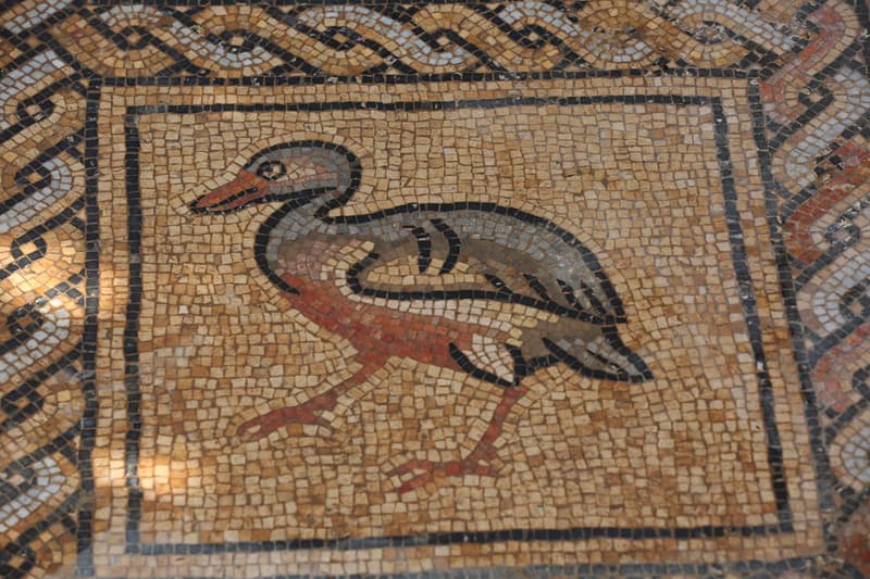 Gaza Farmer Unearths Byzantine Mosaic Art Palestine