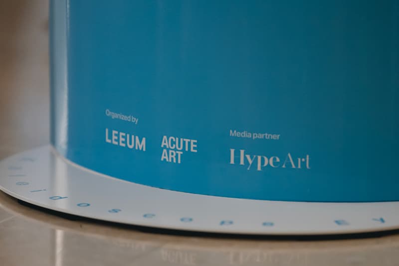 HypeArt VIP Tour Leeum Museum Acute Art Seoul South Korea