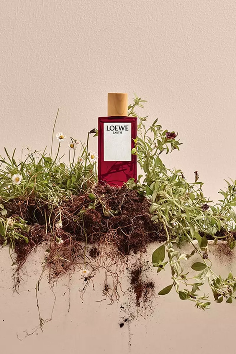 Loewe Truffle Scented Fragrance Botnaical Rainbow Earth Nuria Cruelles spherical structure mimosa violet amber ama lou release info date price