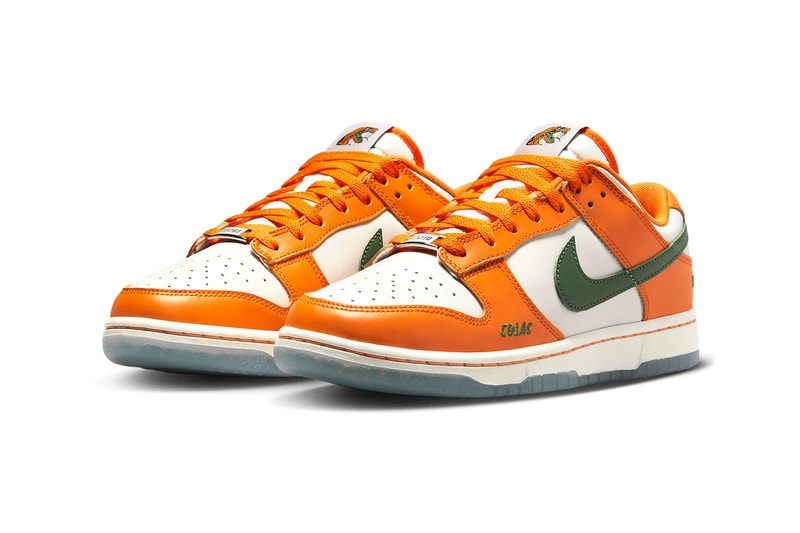 Nike Dunk Low Florida A M DR6188-800 Official Photos