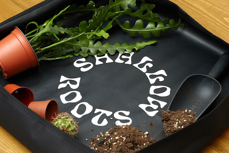 Prick Ldn Launches Collection of Plant Care Tools