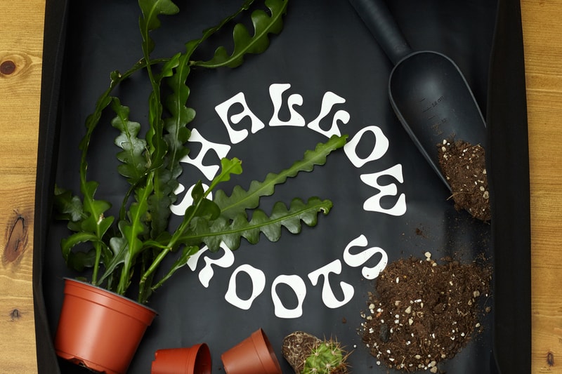 Prick Ldn Launches Collection of Plant Care Tools