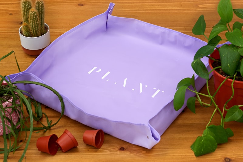 Prick Ldn Launches Collection of Plant Care Tools
