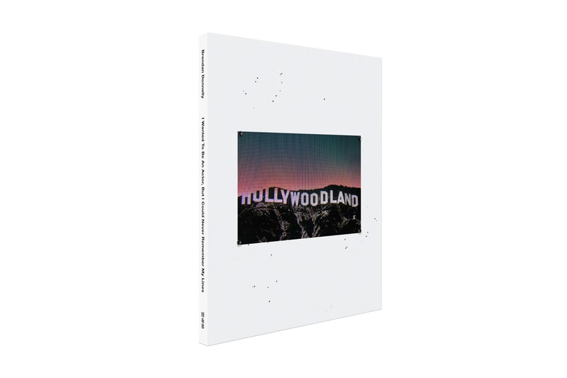 Brendan Donnelly Hat & Beard Press Art Book Celebrity