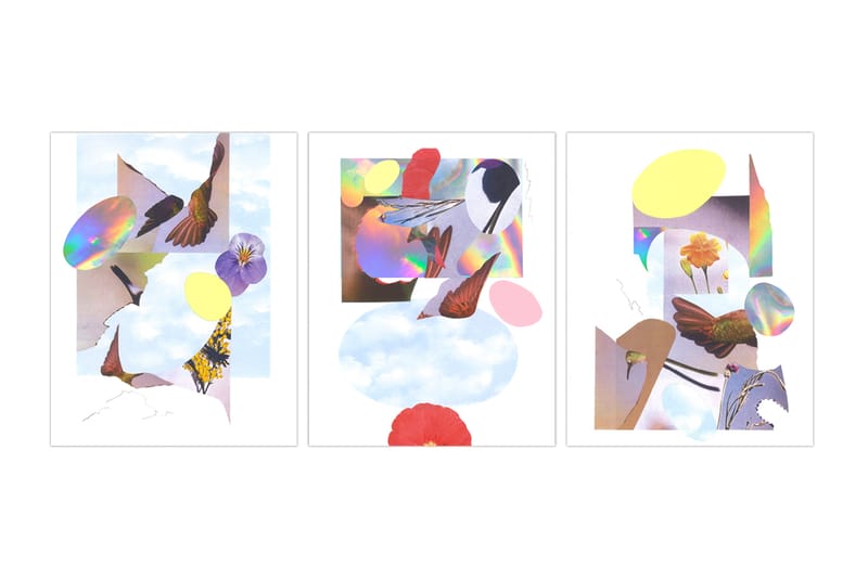 FISK Presents 'Colibri' Exhibition by Chris Burnett