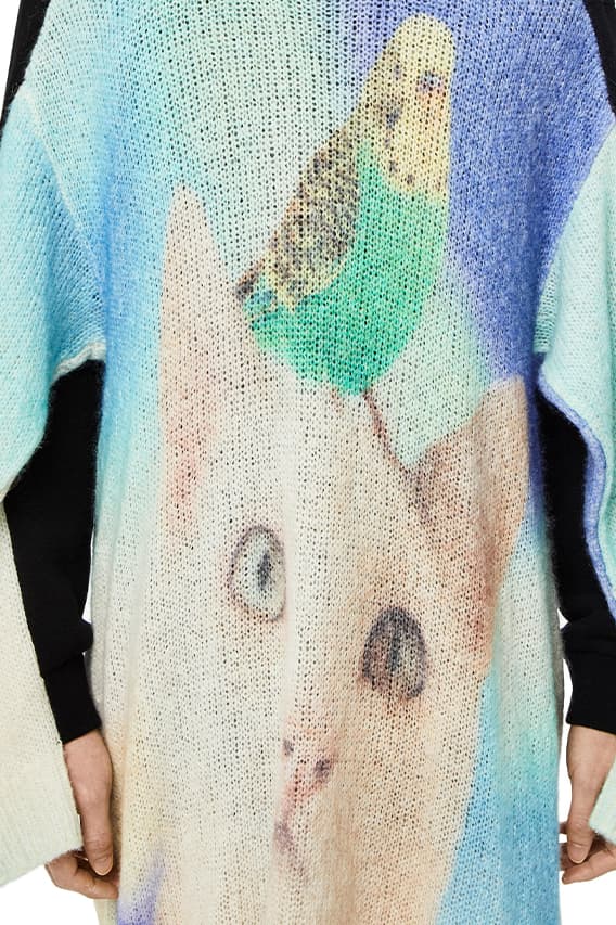 LOEWE FW22 Cat Print Knit Dress Release Info wool fall winter 2022 Jonathan Anderson meme cat bird