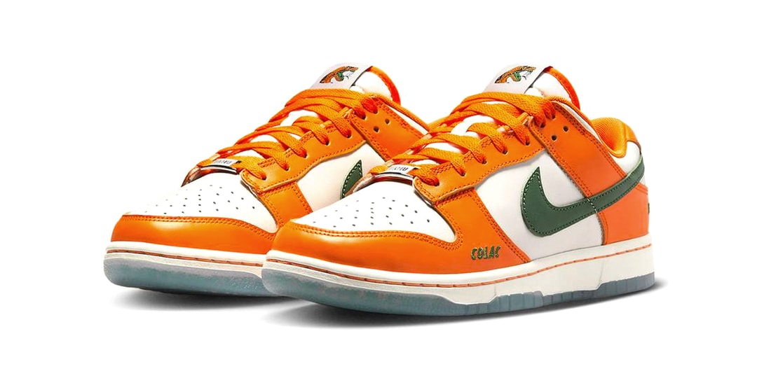 Nike x Florida A&M University Dunk Low Receives October  display picture 1