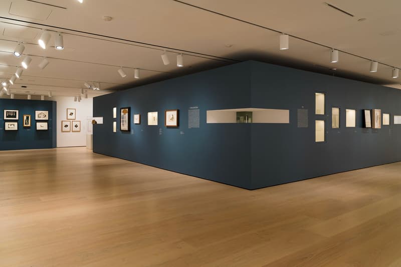HAMMER Museum 'Picasso Cut Papers' UCLA Exhibition