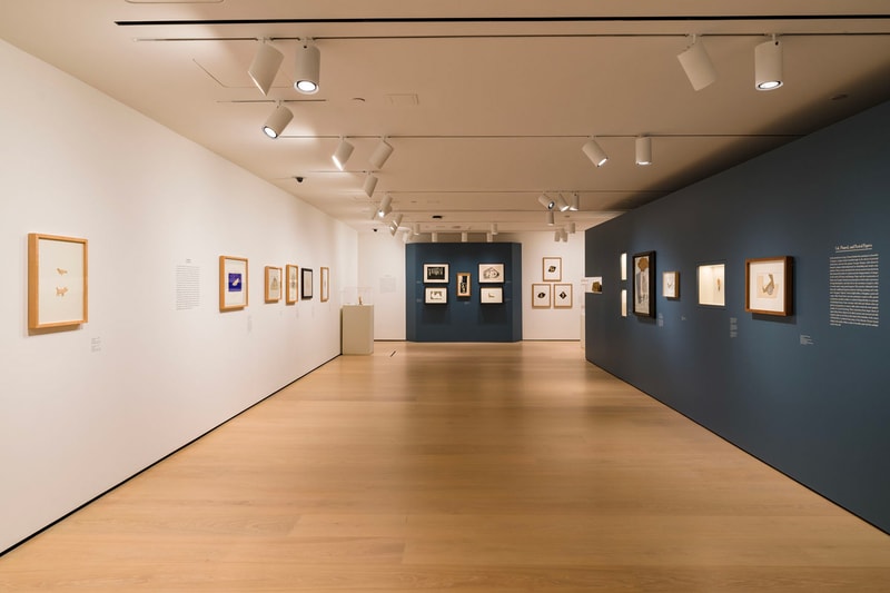 HAMMER Museum 'Picasso Cut Papers' UCLA Exhibition