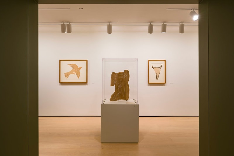 HAMMER Museum 'Picasso Cut Papers' UCLA Exhibition