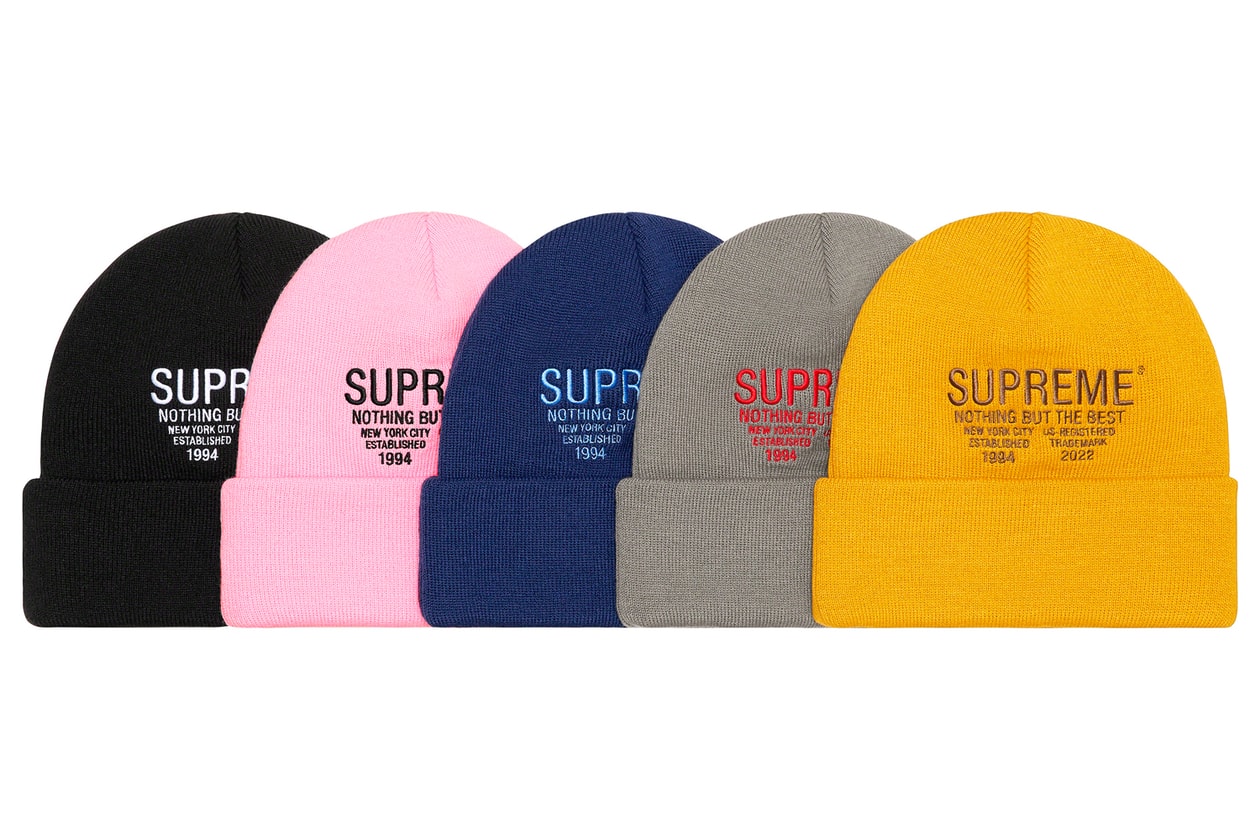 Supreme Fall Winter 2022 Week 9 Release List Drop List Palace KAWS Kid Cudi NEIGHBORHOOD The North Face ERL PANGAIA VICTOR VICTOR HYSTERIC GLAMOUR Kiko Kostadinov