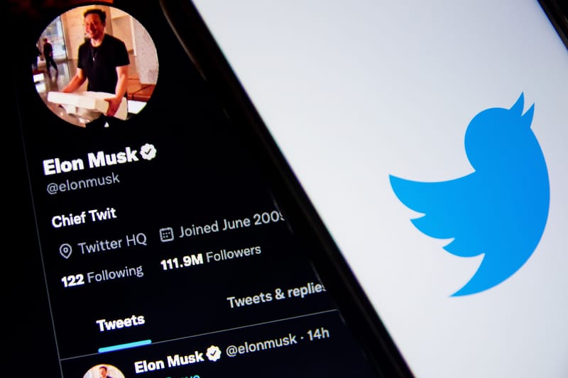Twitter Hit With Coordinated "Trolling" After Elon Musk Purchase