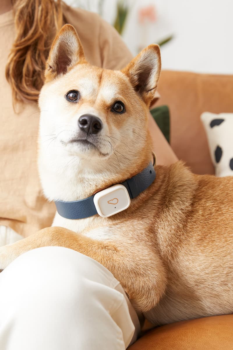 Whistlepets Limited Edition Smart Device