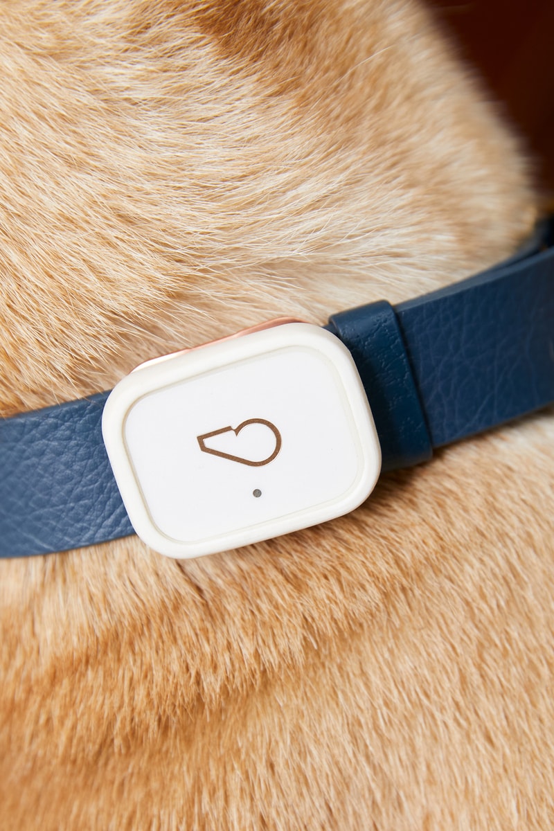 Whistlepets Limited Edition Smart Device