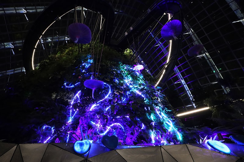 Avatar: The Experience Cloud Forest Gardens by the Bay Singapore Inside Look Info The Way of Water