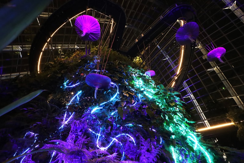 Avatar: The Experience Cloud Forest Gardens by the Bay Singapore Inside Look Info The Way of Water