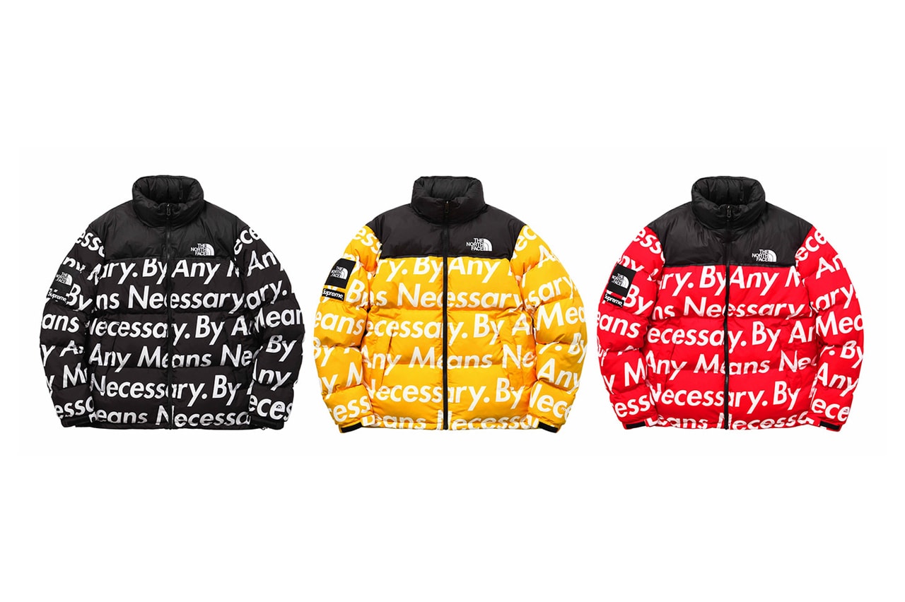 best supreme the north face collaborations jackets accessories sweatshirts fleece leopard by any means arctic fw07 ss08 fw08 fw11 ss14 fw15 ss16 ss17 ss20 official release date info photos price store list buying guide