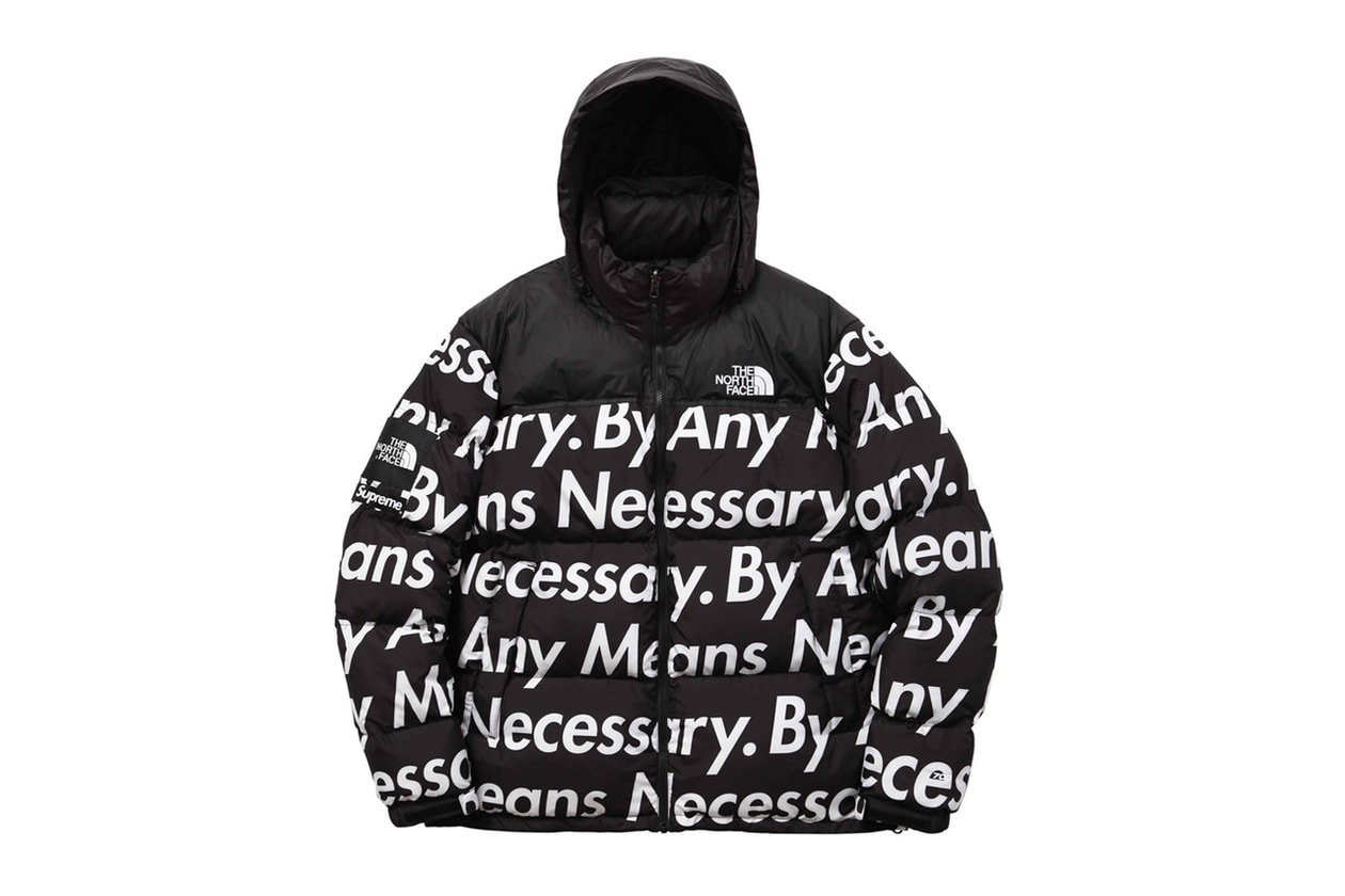 best supreme the north face collaborations jackets accessories sweatshirts fleece leopard by any means arctic fw07 ss08 fw08 fw11 ss14 fw15 ss16 ss17 ss20 official release date info photos price store list buying guide