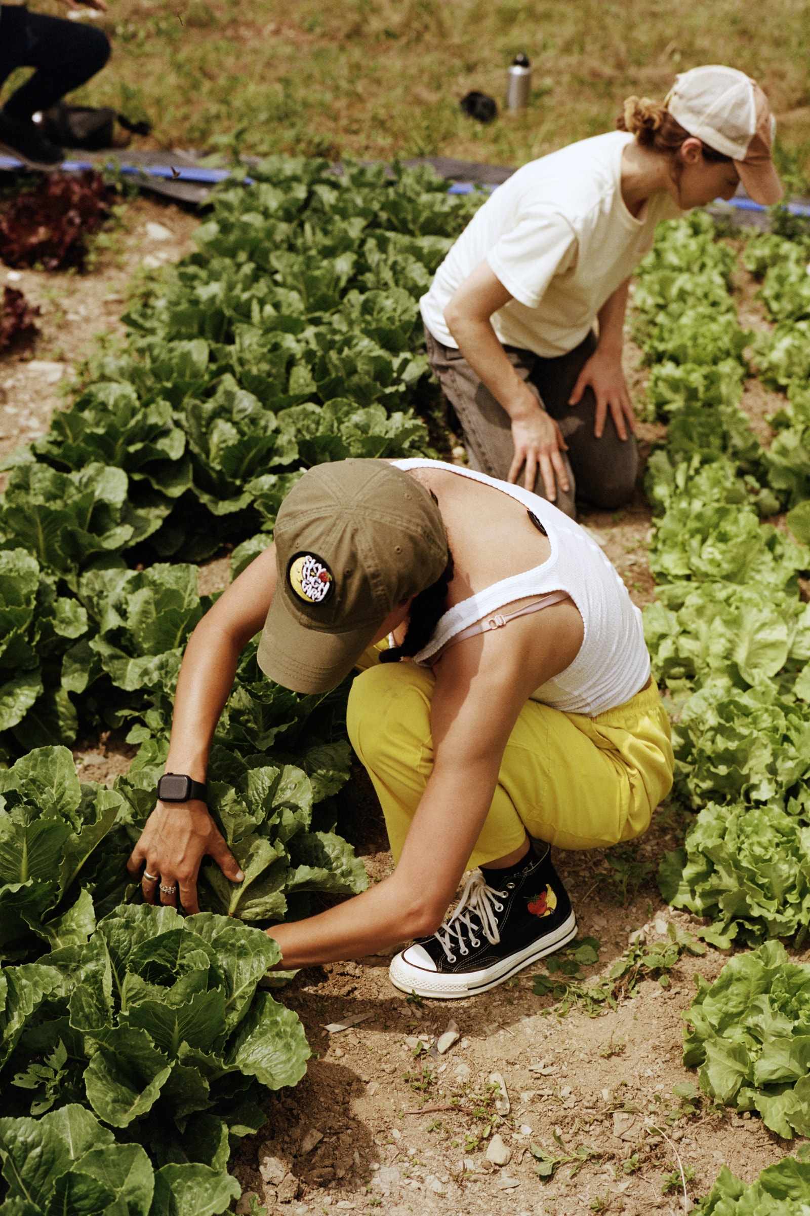 Dan Colen Sky High Farm Agriculture Non Profit Org New York Interview Hypebeast Magazine Issue 30 The Frontiers Issue