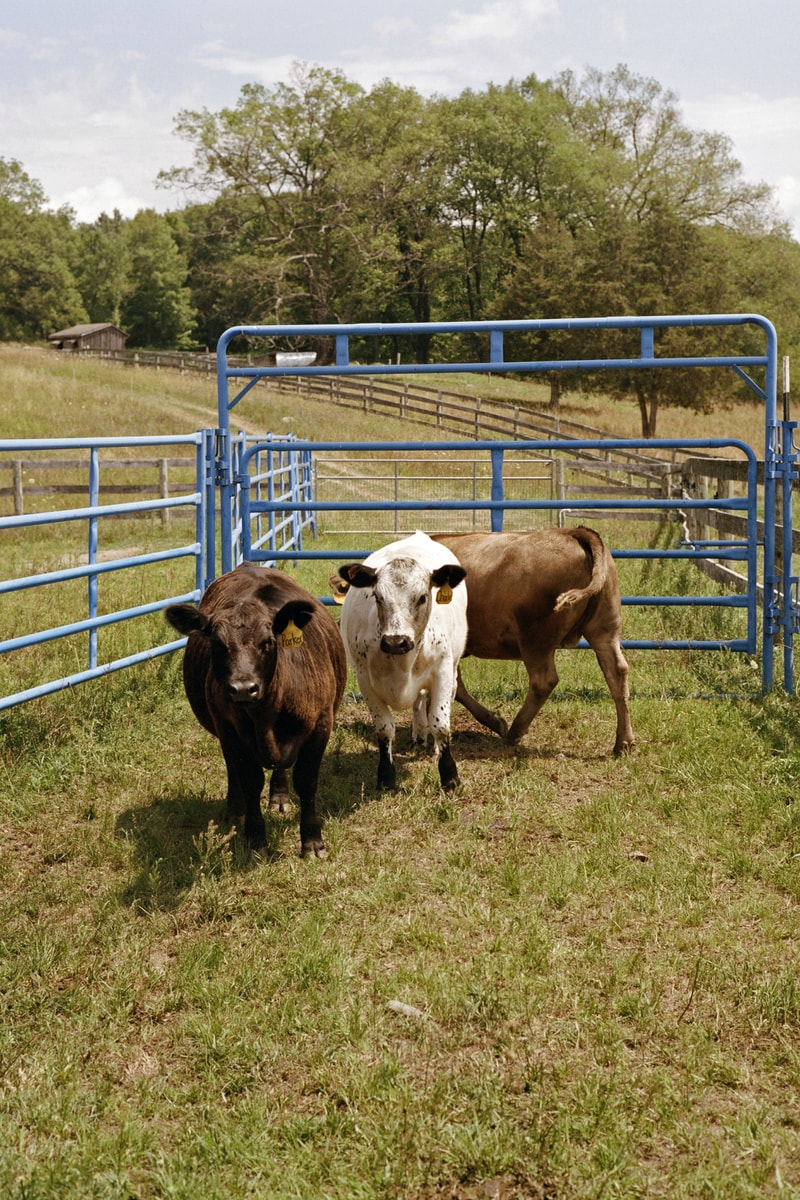 Dan Colen Sky High Farm Agriculture Non Profit Org New York Interview Hypebeast Magazine Issue 30 The Frontiers Issue