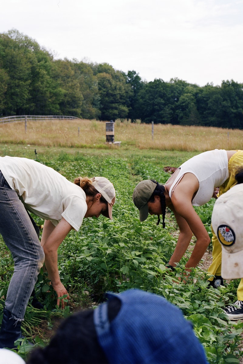 Dan Colen Sky High Farm Agriculture Non Profit Org New York Interview Hypebeast Magazine Issue 30 The Frontiers Issue
