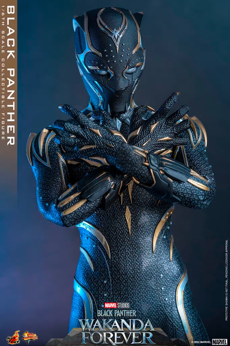 Movie Masterpiece - Fully Poseable Figure: Black Panther: Wakanda