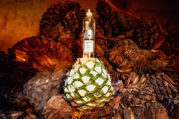 Los 7 Ángeles' Cristalino Tequila is Made With 100% Blue Agave