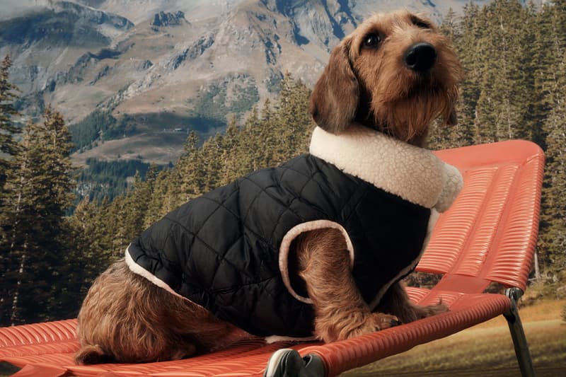 Moncler Poldo Dog Couture Dog Wear Doggos Four Legged Friends Teddy Fleece Walks Raincoat Nylon Maire Jacket