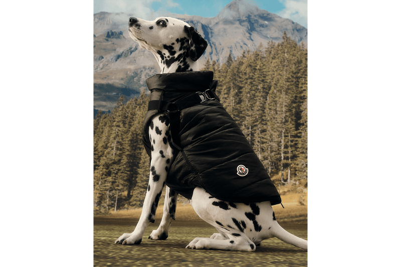 Moncler Poldo Dog Couture Dog Wear Doggos Four Legged Friends Teddy Fleece Walks Raincoat Nylon Maire Jacket
