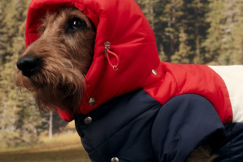 Moncler Poldo Dog Couture Dog Wear Doggos Four Legged Friends Teddy Fleece Walks Raincoat Nylon Maire Jacket