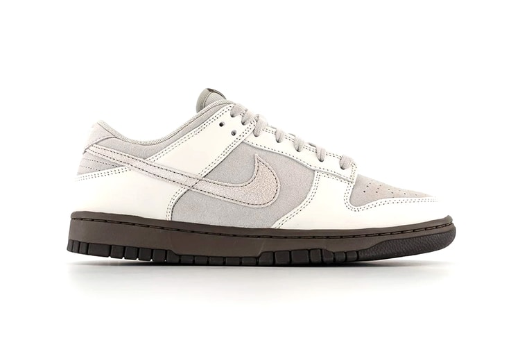 First Look at the Nike Dunk Low "Ironstone"