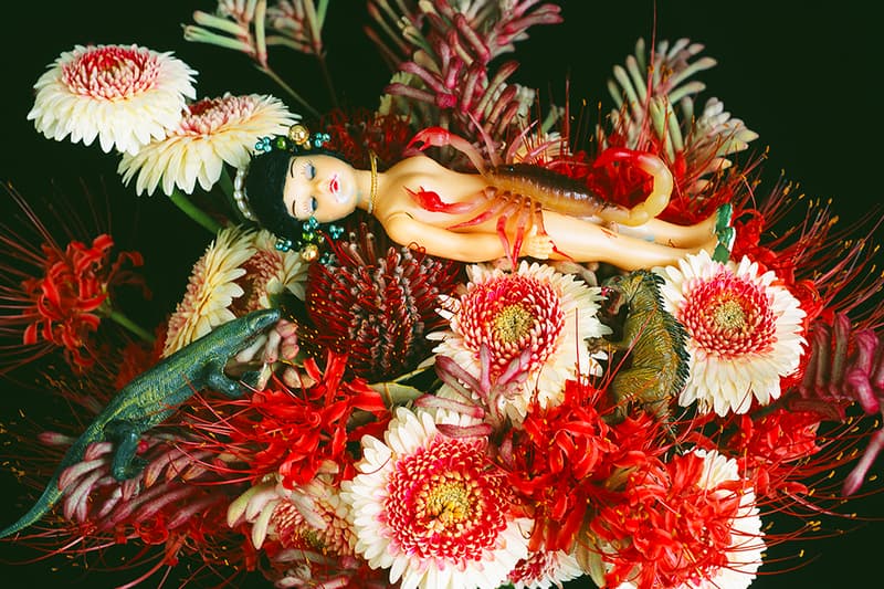 Nobuyoshi Araki ‘Monstrous Paradise’ Exhibition