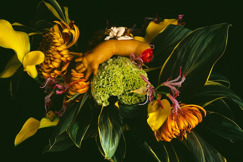 Nobuyoshi Araki ‘Monstrous Paradise’ Exhibition