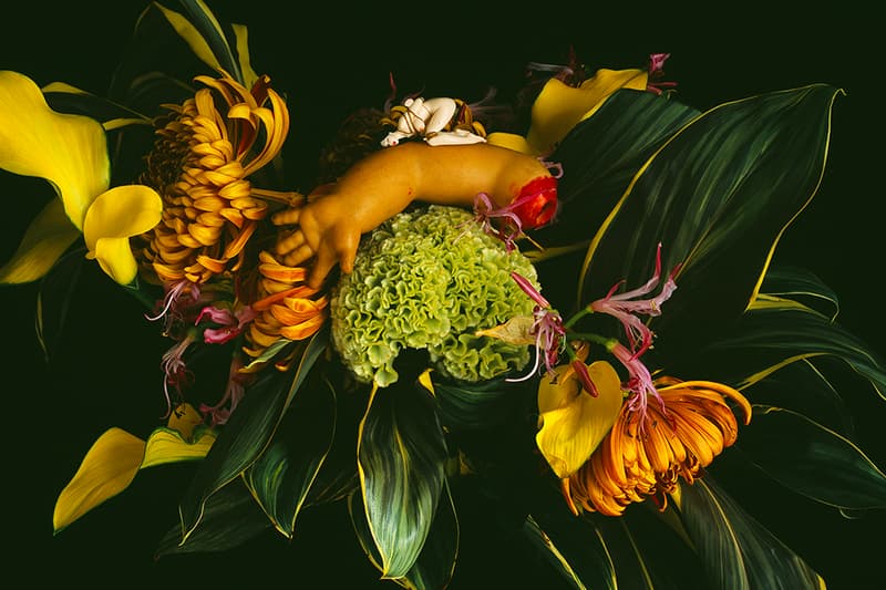 Nobuyoshi Araki ‘Monstrous Paradise’ Exhibition