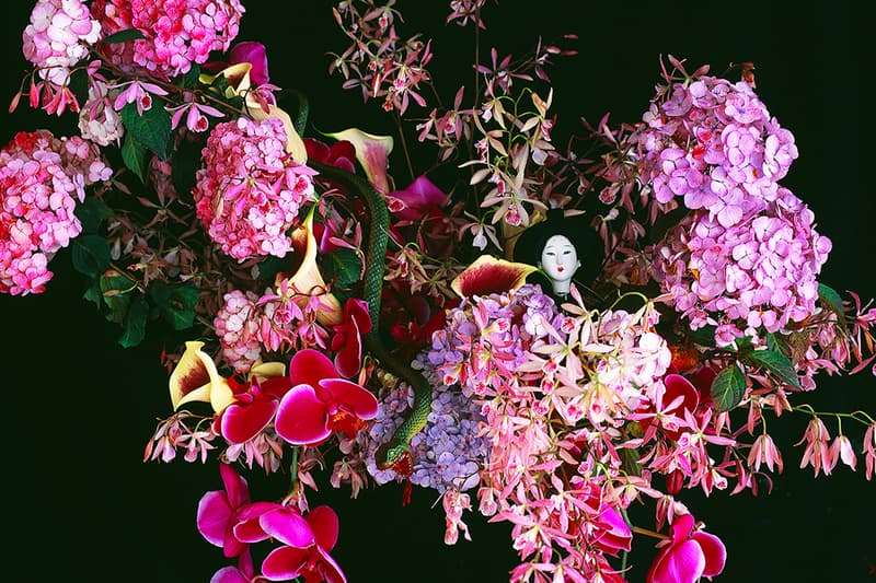 Nobuyoshi Araki ‘Monstrous Paradise’ Exhibition
