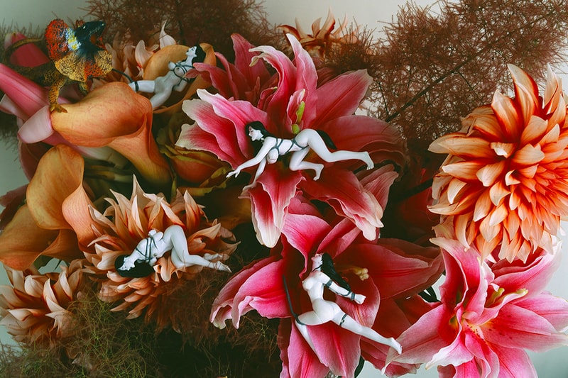 Nobuyoshi Araki ‘Monstrous Paradise’ Exhibition