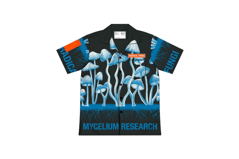 Space Available's 'Radical Fungi' Collection Promotes the Power of Biomaterials