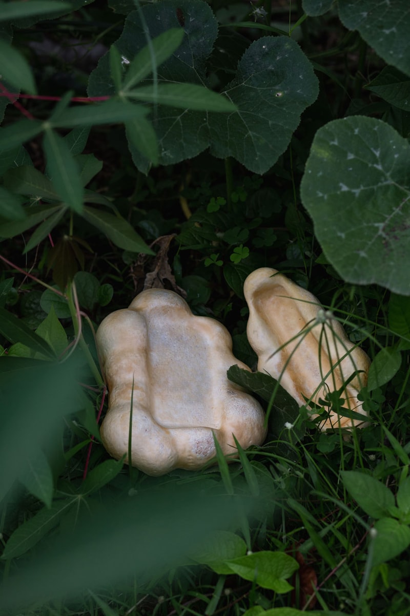 Space Available's 'Radical Fungi' Collection Promotes the Power of Biomaterials