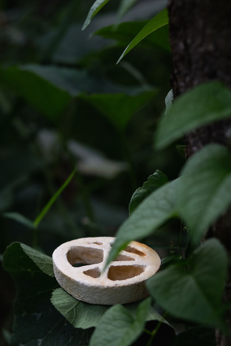 Space Available's 'Radical Fungi' Collection Promotes the Power of Biomaterials