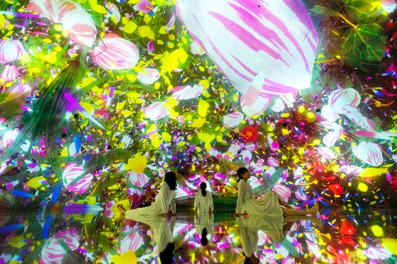 teamLab 'Massless' Beijing Art Installation China