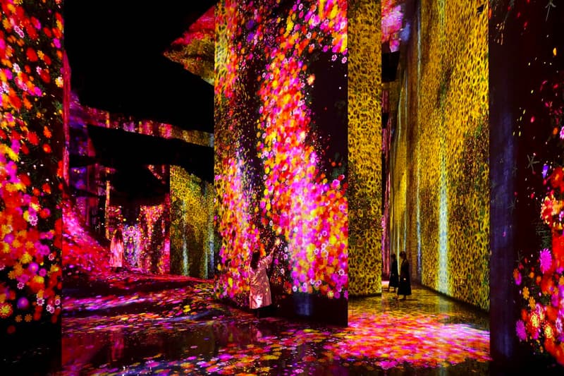teamLab 'Massless' Beijing Art Installation China