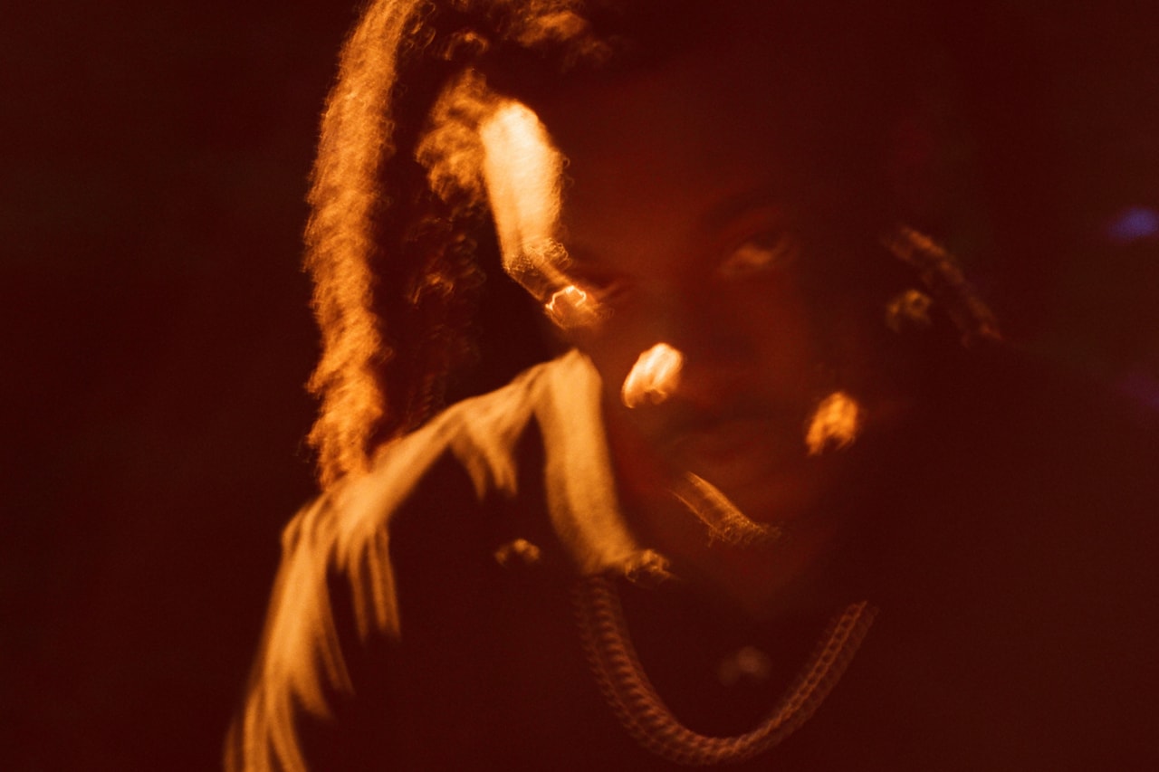 Through the Lens: Mohammad Gorjestani