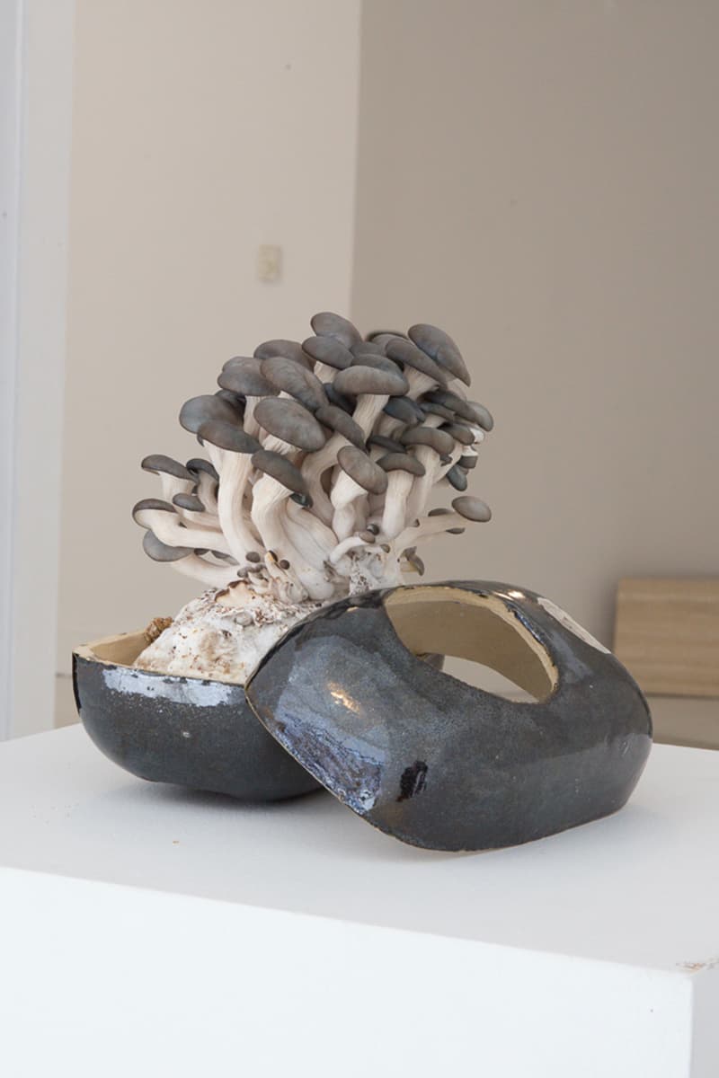 EDEN Power Corp MYCOAUDIO Mycelium Mushroom Speakers Release Info Date Buy Price 