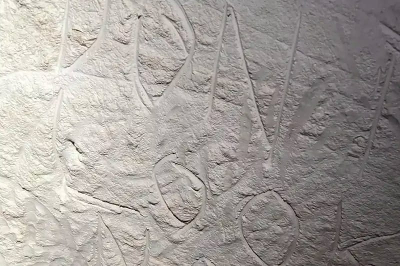 Vandals Destroyed Ancient Cave Art in Australia