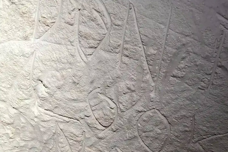 Vandals Destroyed Ancient Cave Art in Australia