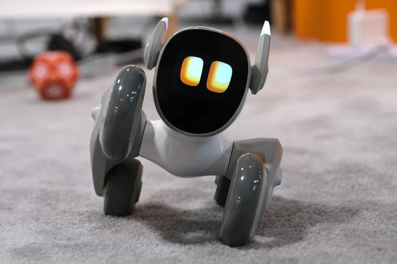 Loona is the Adorable $359 USD Petbot You Need