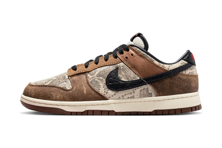 Official Images of the Nike Dunk Low CO.JP