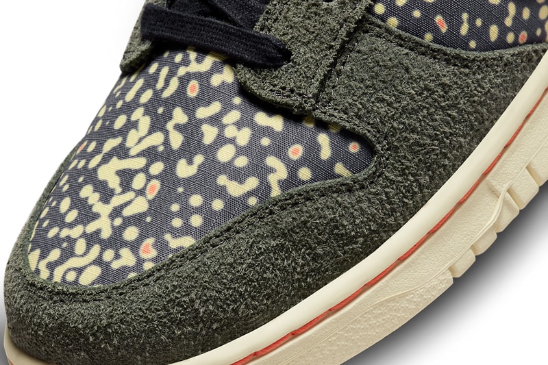 Nike Dunk Low Rainbow Trout FN7523-300 Release Info date store list buying guide photos price