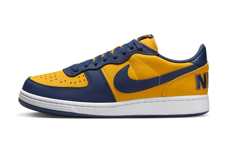 Official Look at the Nike Terminator Low "Michigan"