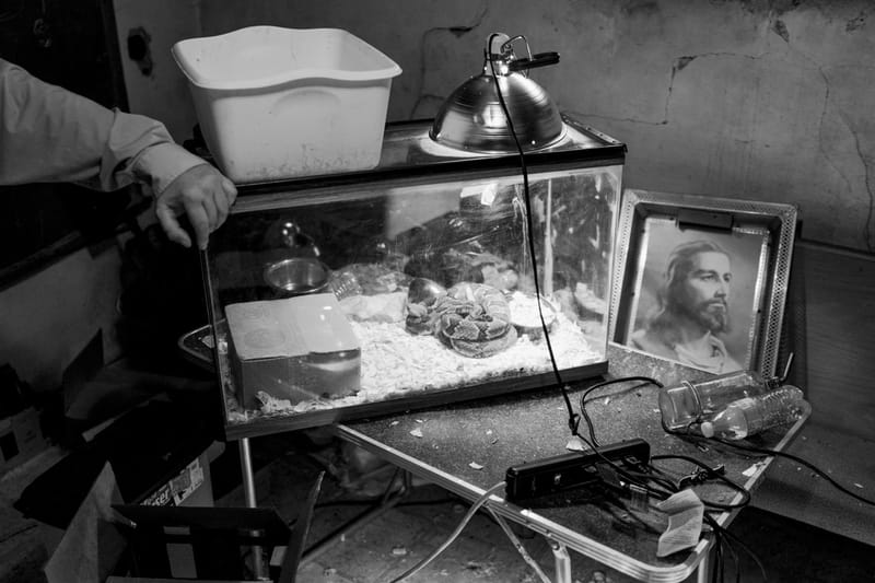 Robert LeBlanc Presents 'Gloryland' at Fahey/Klein Gallery